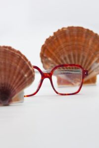 Opticien indépendant a Landerneau qui vend la marque Friendly Frenchy