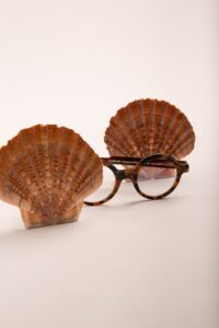 Friendly Frenchy lunettes