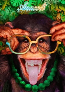 Landern Optique sur le pont habité Anacolé