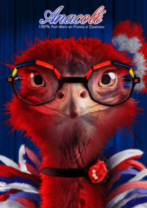 Vendeur lunettes Anacolé à Landerneau